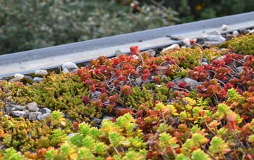 the cost of Whistley Green green roof installation