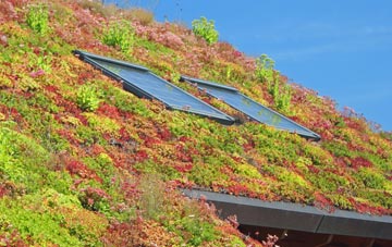 Whistley Green living roof systems